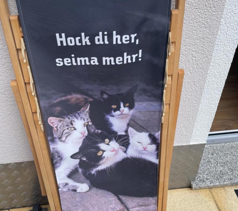 Photo of Others in See