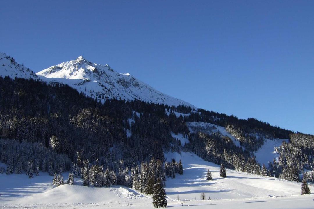 Photo of Others in Nesselwaengle