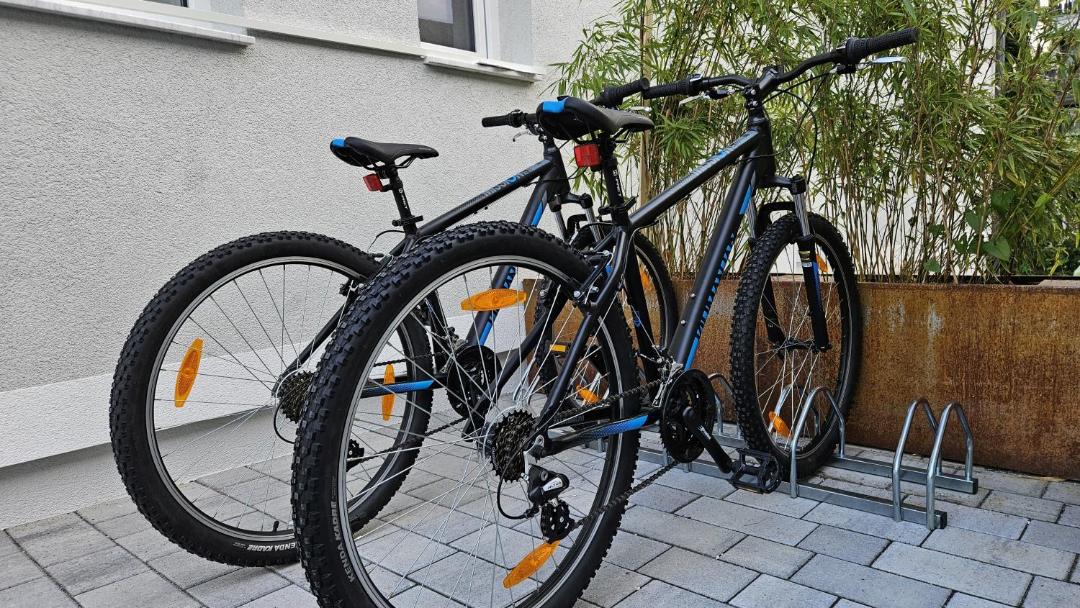 Photo of Others in Sekirn