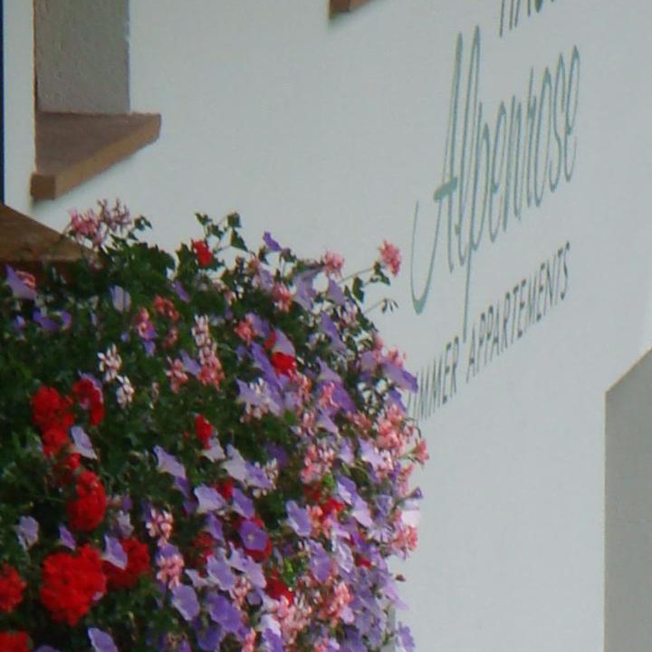 Photo of Others in Serfaus