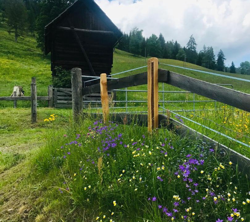 Photo of Others in Sankt Ruprecht ob Murau