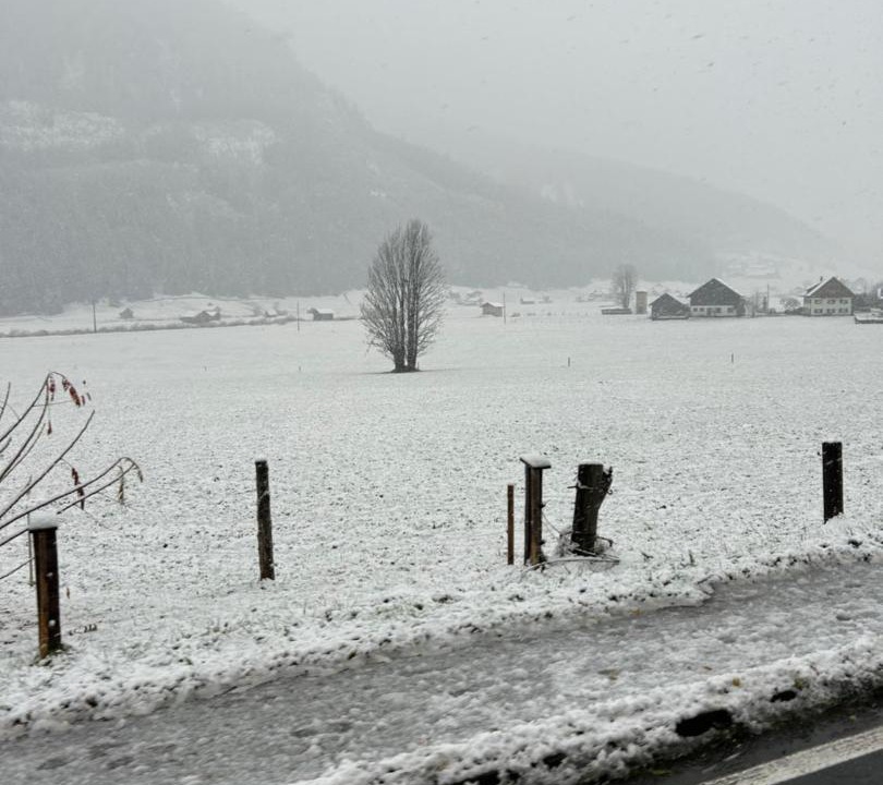 Photo of Others in Gosau
