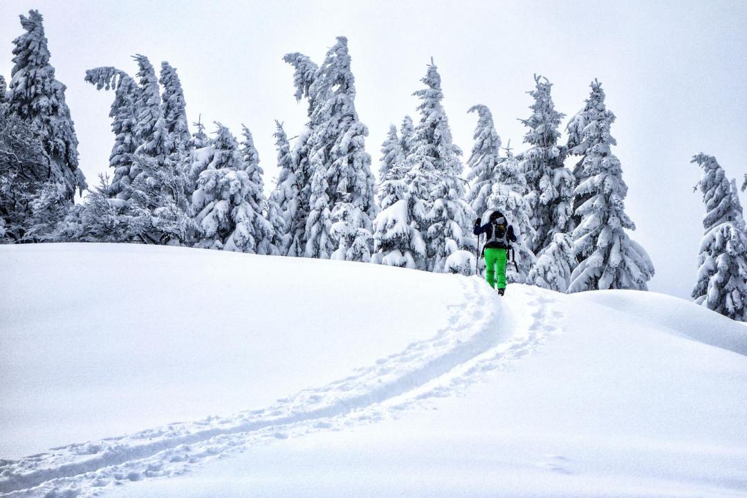 Photo of Others in Mariazell
