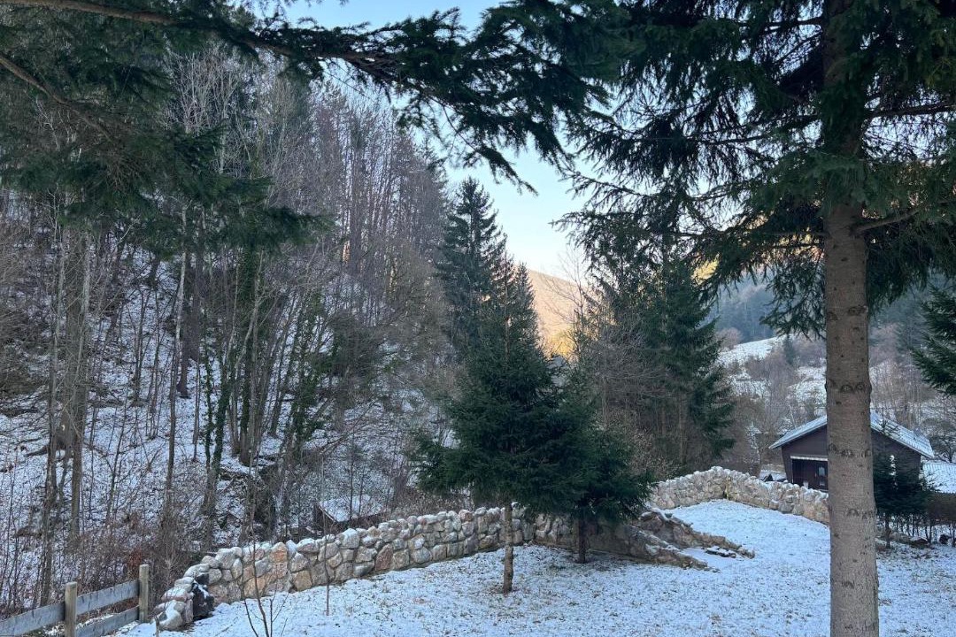 Photo of Others in Waldegg