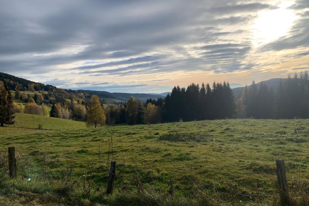 Photo of Others in Liebenfels