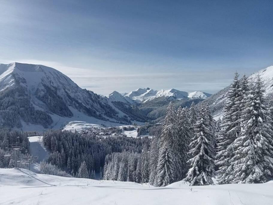 Photo of Others in Berwang
