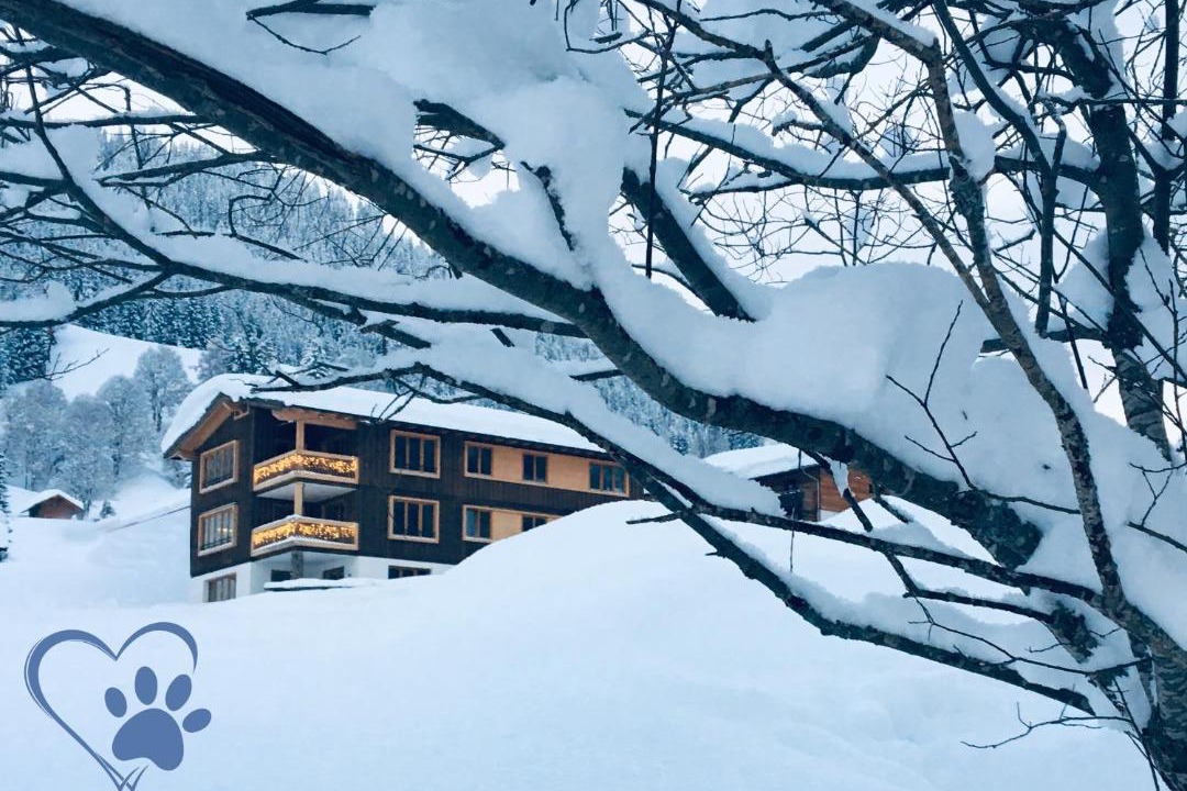 Photo of Others in Mittelberg