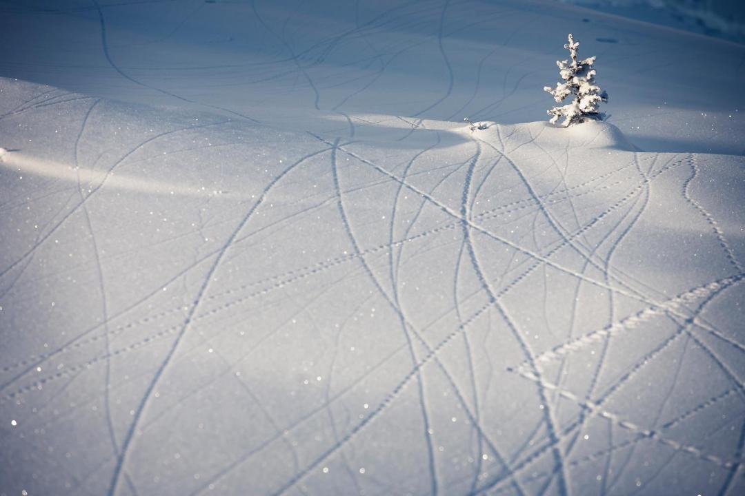 Photo of Others in Soelden
