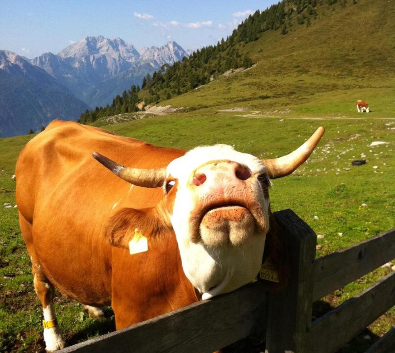 Photo of Others in Jenig