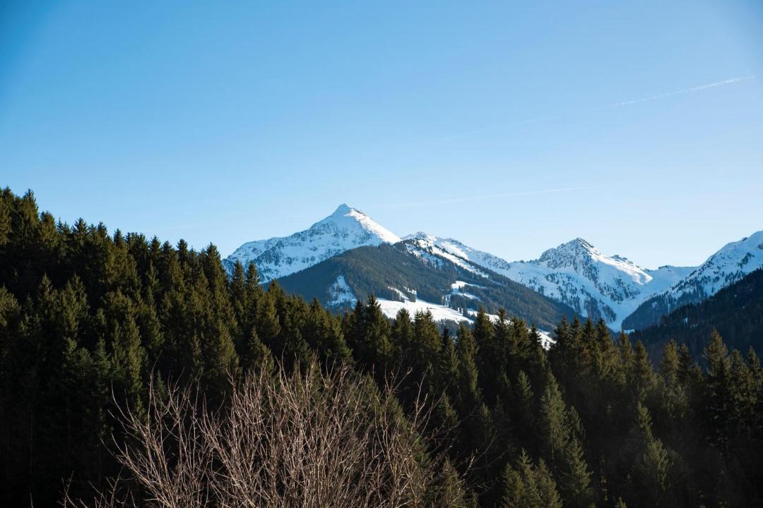 Photo of Others in Alpbach
