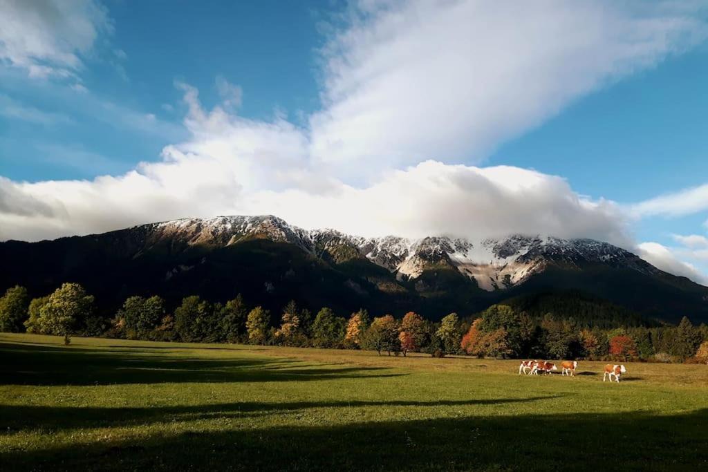 Photo of Others in Puchberg Am Schneeberg