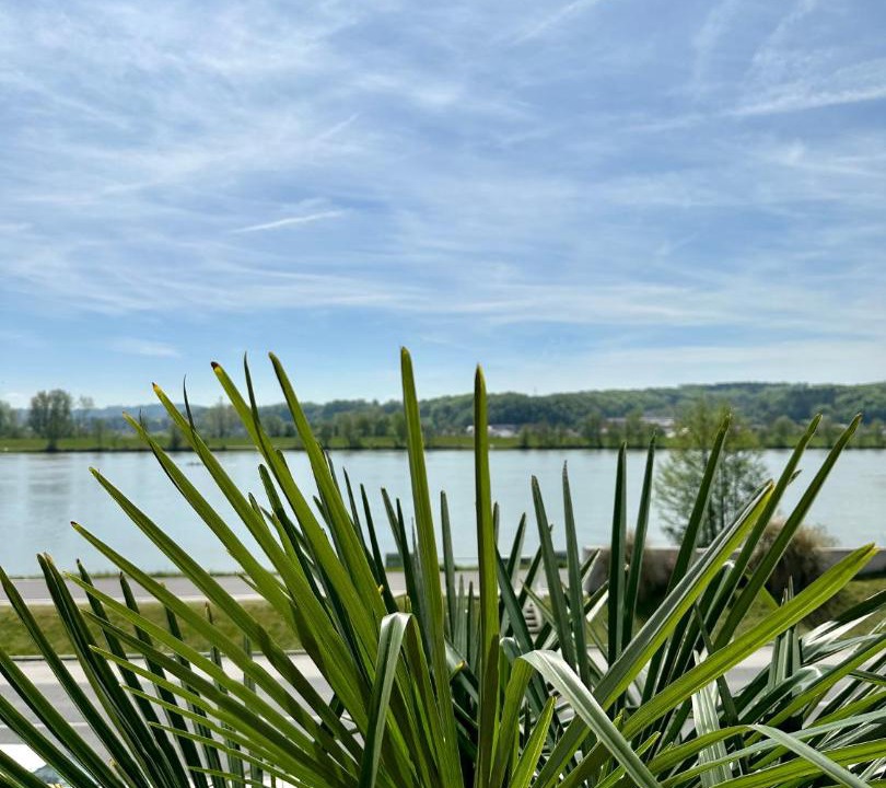 Photo of Others in Marbach an der Donau