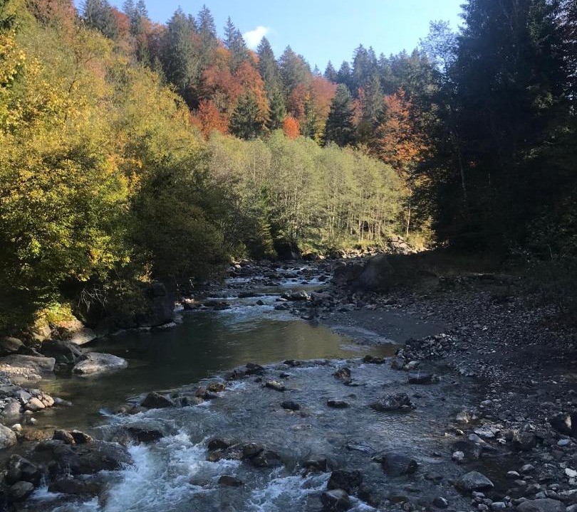Photo of Others in Sibratsgfaell