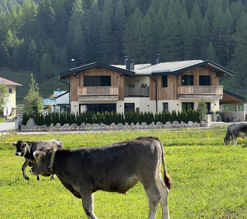 Photo of Others in Niederthai