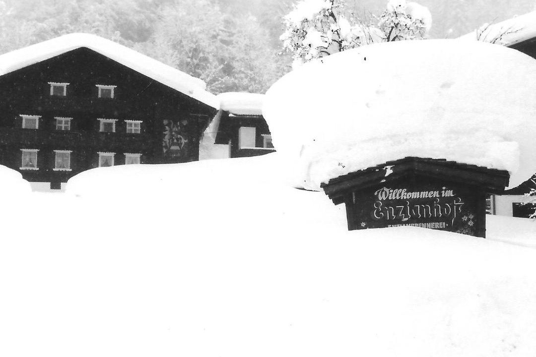 Photo of Others in Silbertal