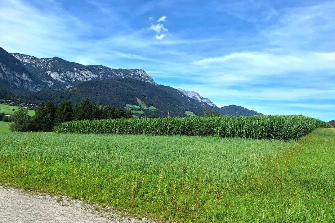 Photo of Others in Haus im Ennstal