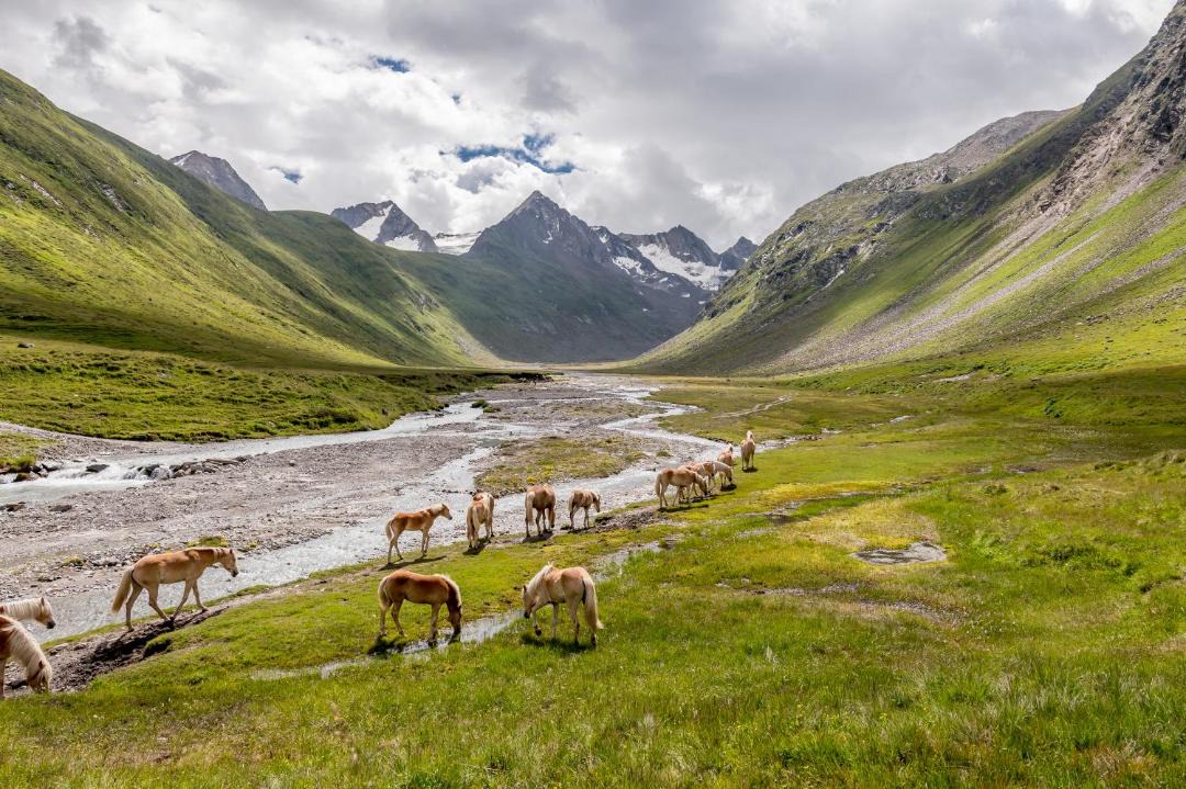 Photo of Others in Obergurgl