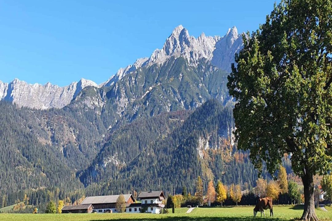 Photo of Others in Saalfelden am Steinernen Meer