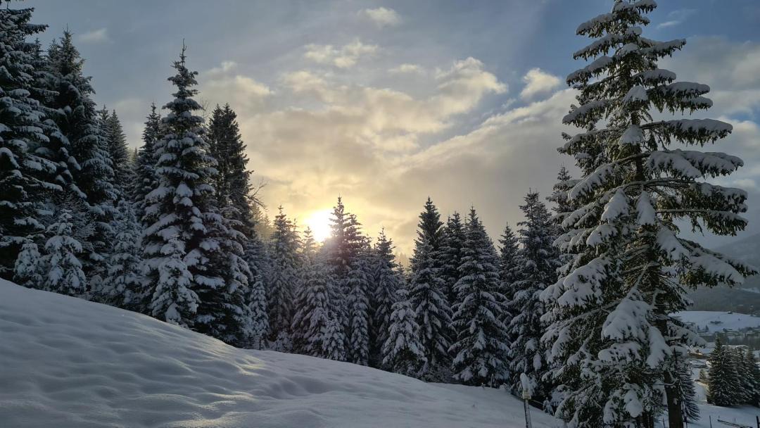 Photo of Others in Riezlern