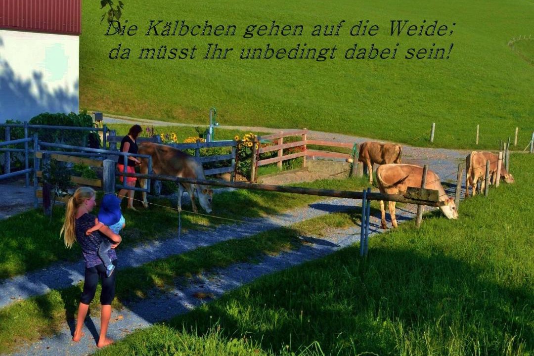 Photo of Others in Eichenberg
