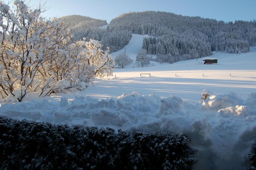 Photo of Others in Going am Wilden Kaiser