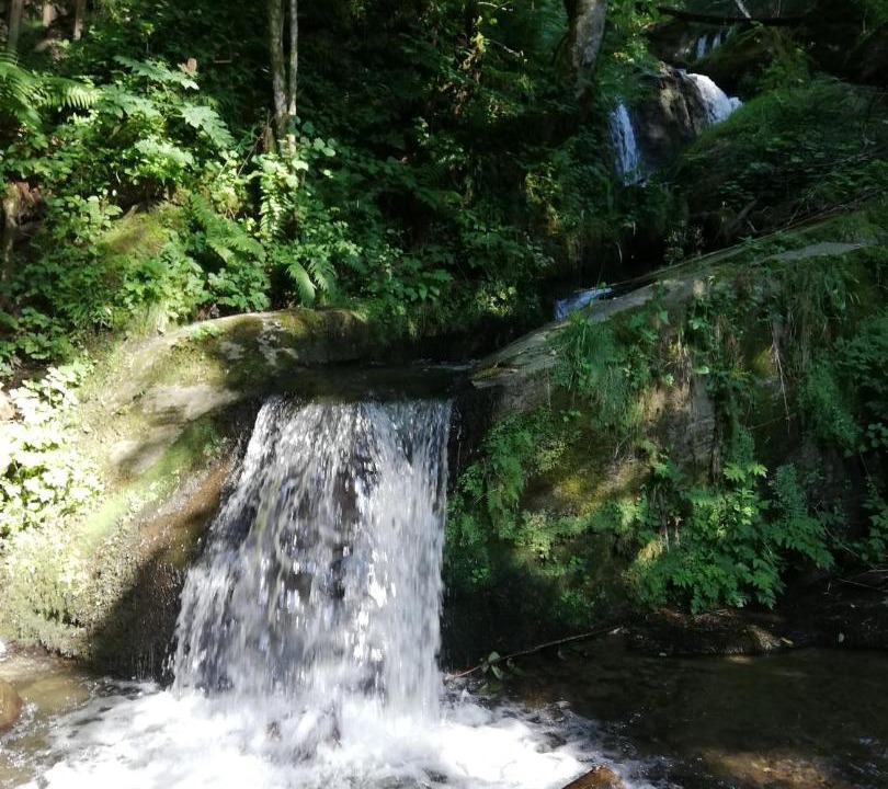 Photo of Others in Liebenfels