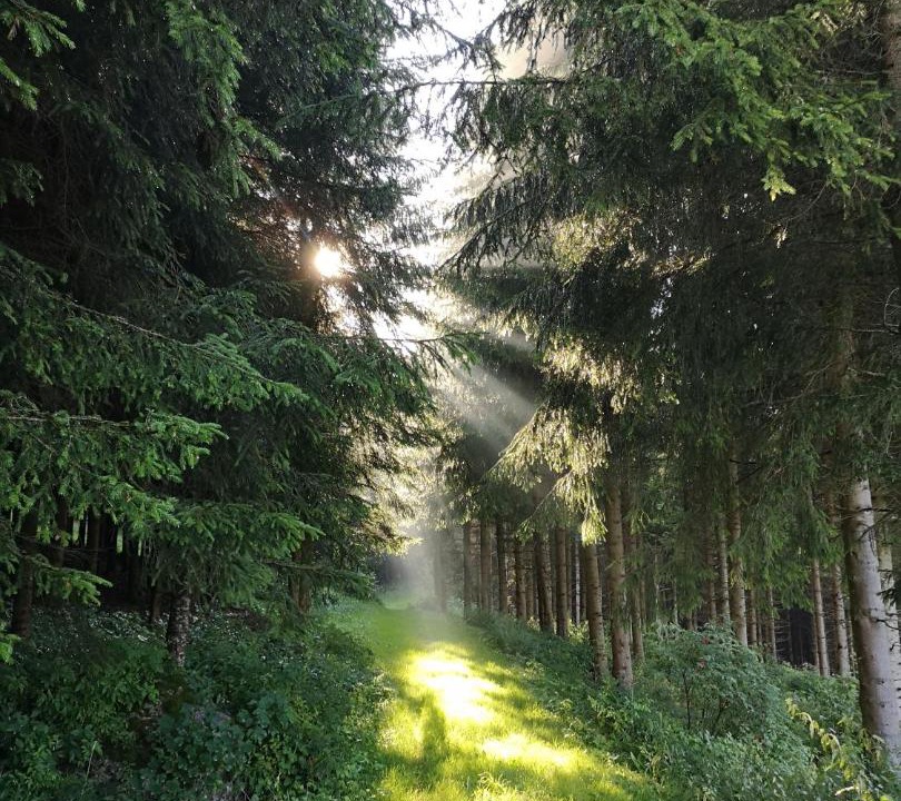 Photo of Others in Langschlag