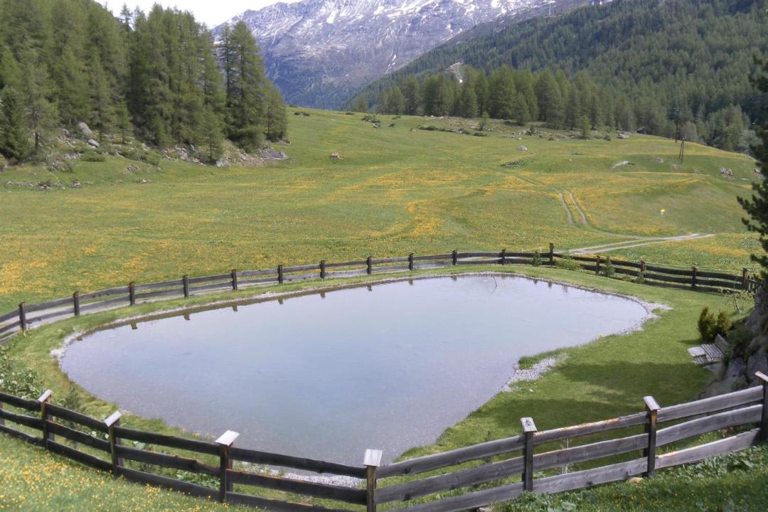 Photo of Others in Gurgl
