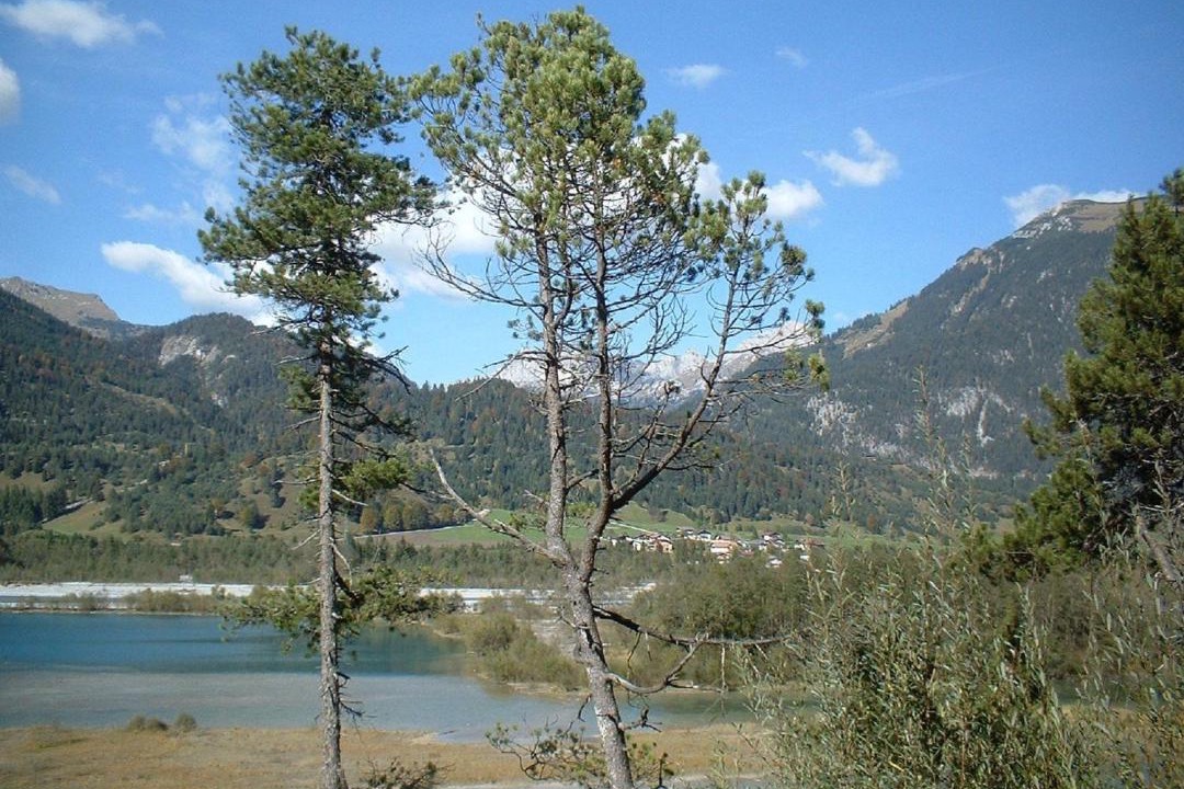 Photo of Others in Ehenbichl