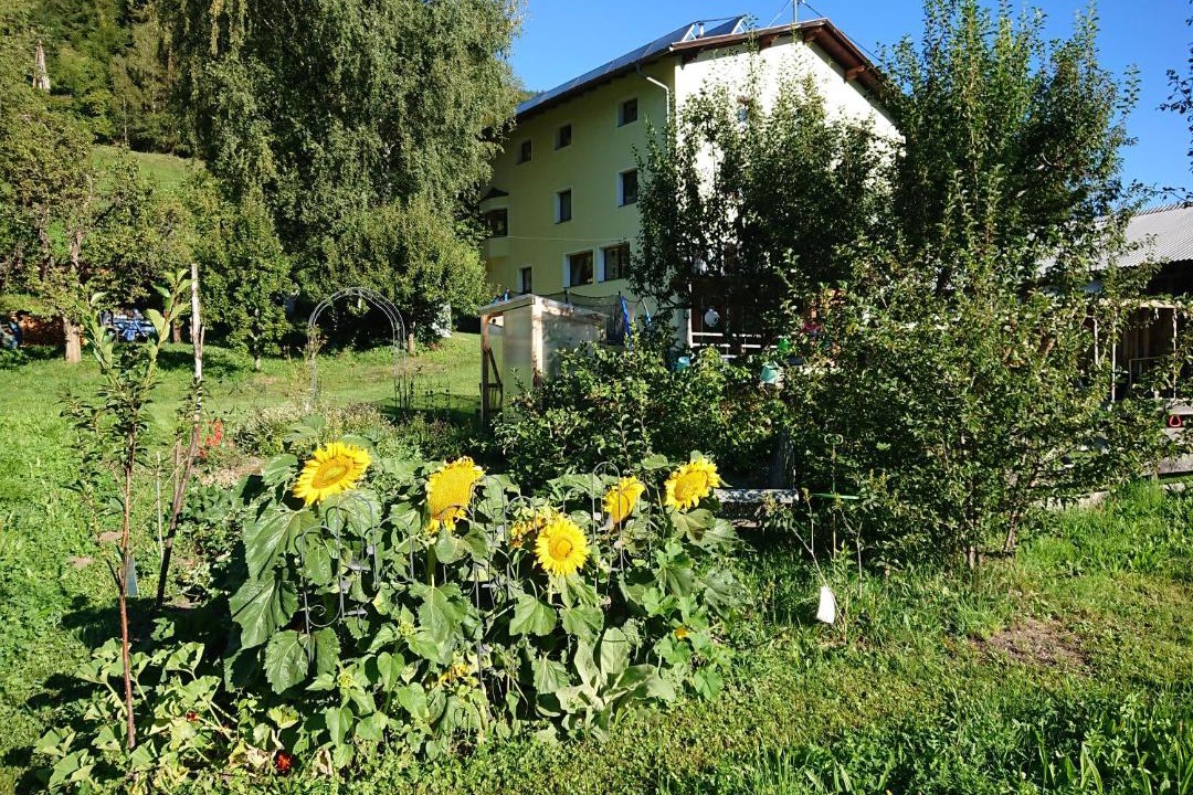 Photo of Others in Arzl im Piztal