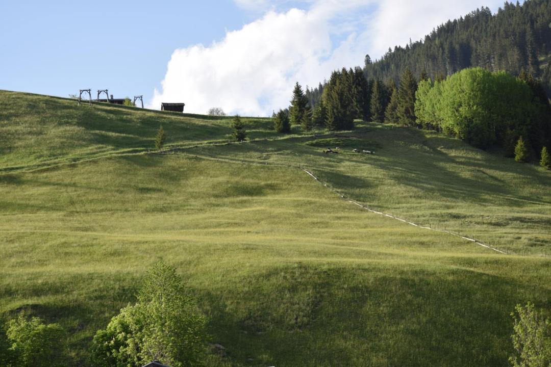 Photo of Others in Holzgau