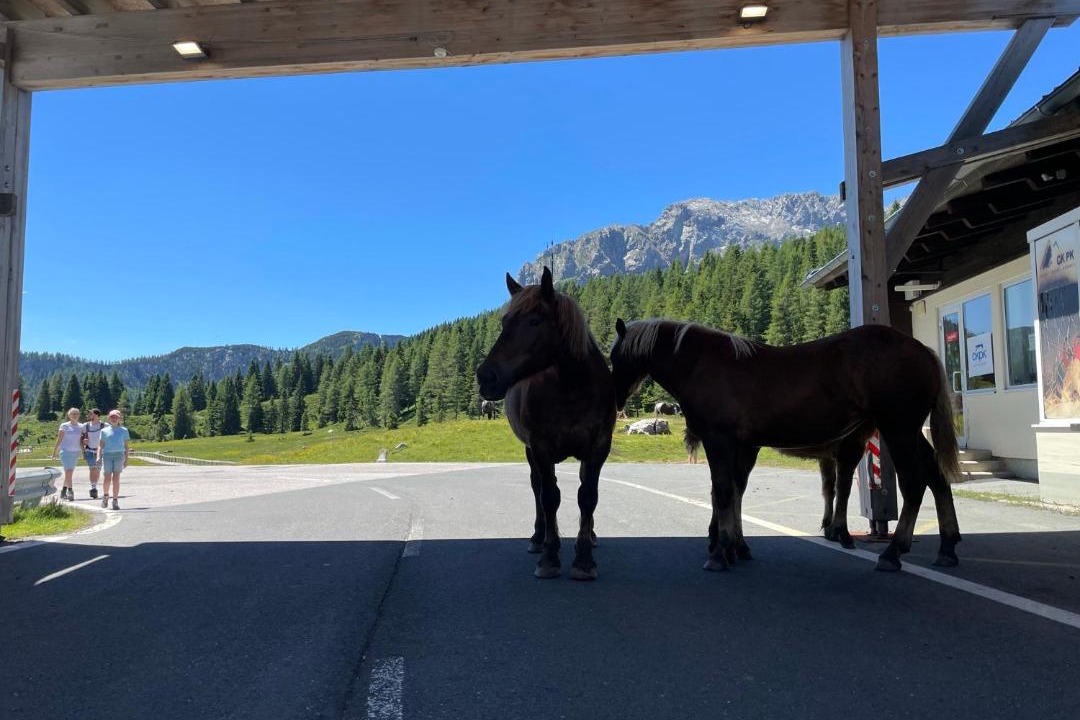 Photo of Others in Sonnenalpe Nassfeld