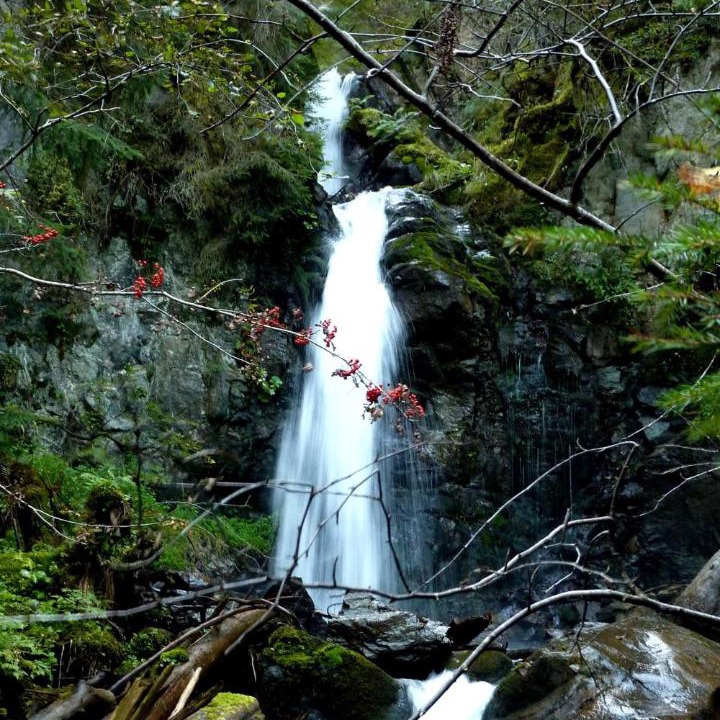 Photo of Others in Arzl im Piztal