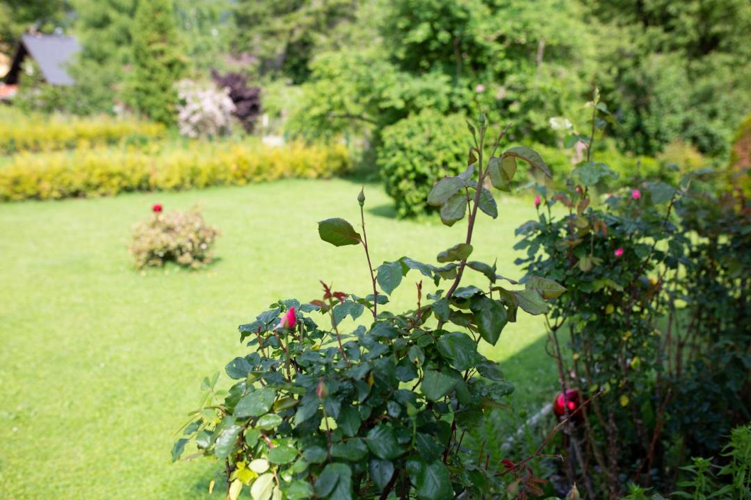 Photo of Others in Reifnitz