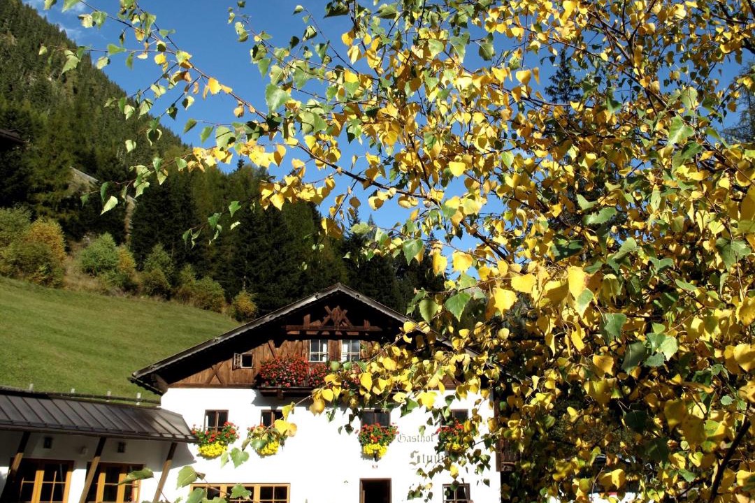Photo of Others in Niederthai