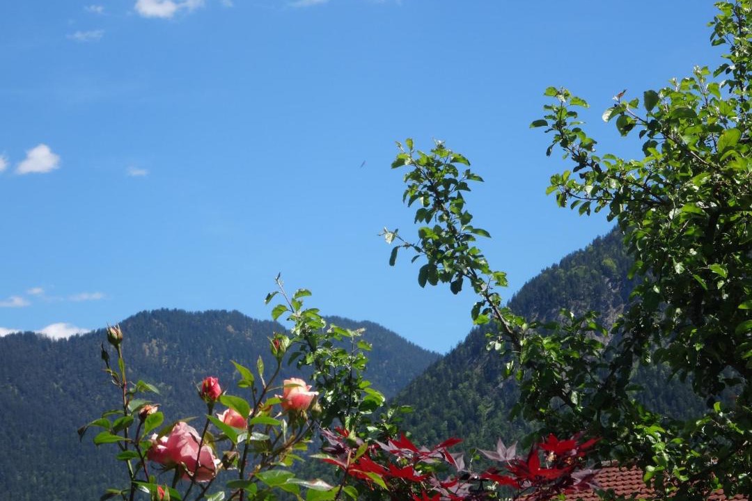 Photo of Others in Reutte