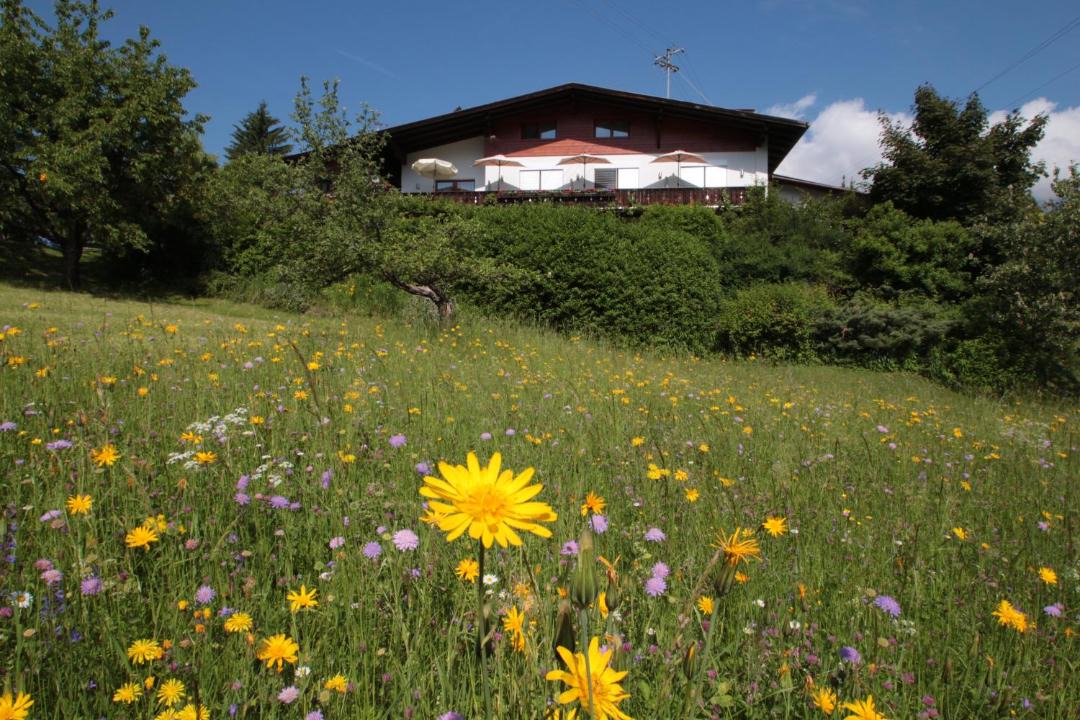 Photo of Others in Sautens