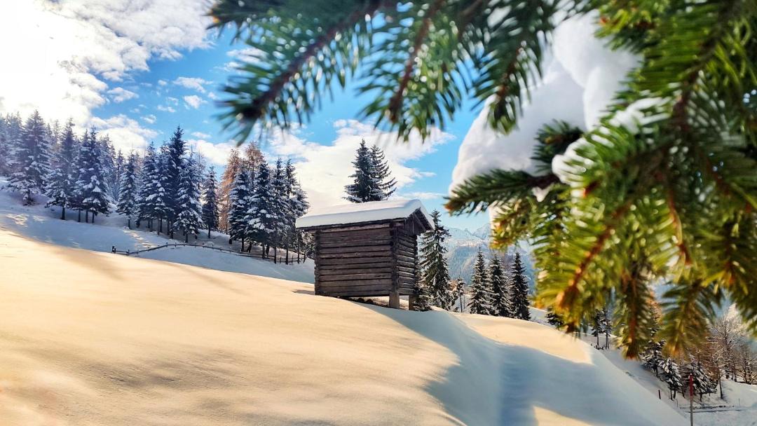 Photo of Others in Sonnenalpe Nassfeld