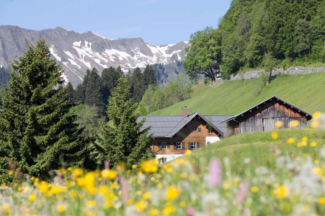 Photo of Others in Mittelberg