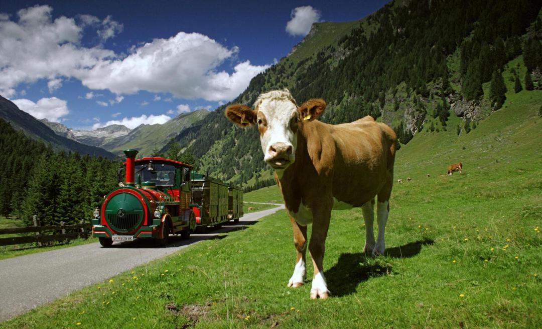 Photo of Others in Rennweg am Katschberg