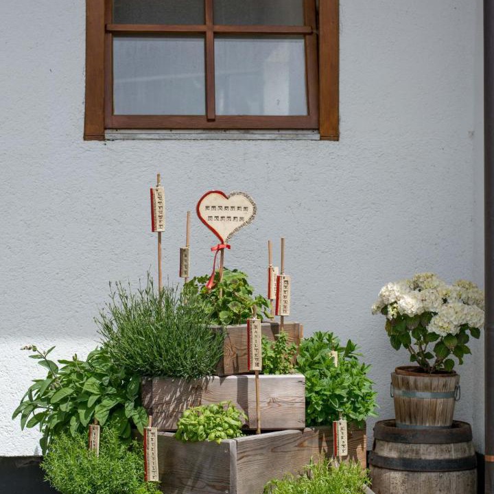 Photo of Others in Saalfelden am Steinernen Meer