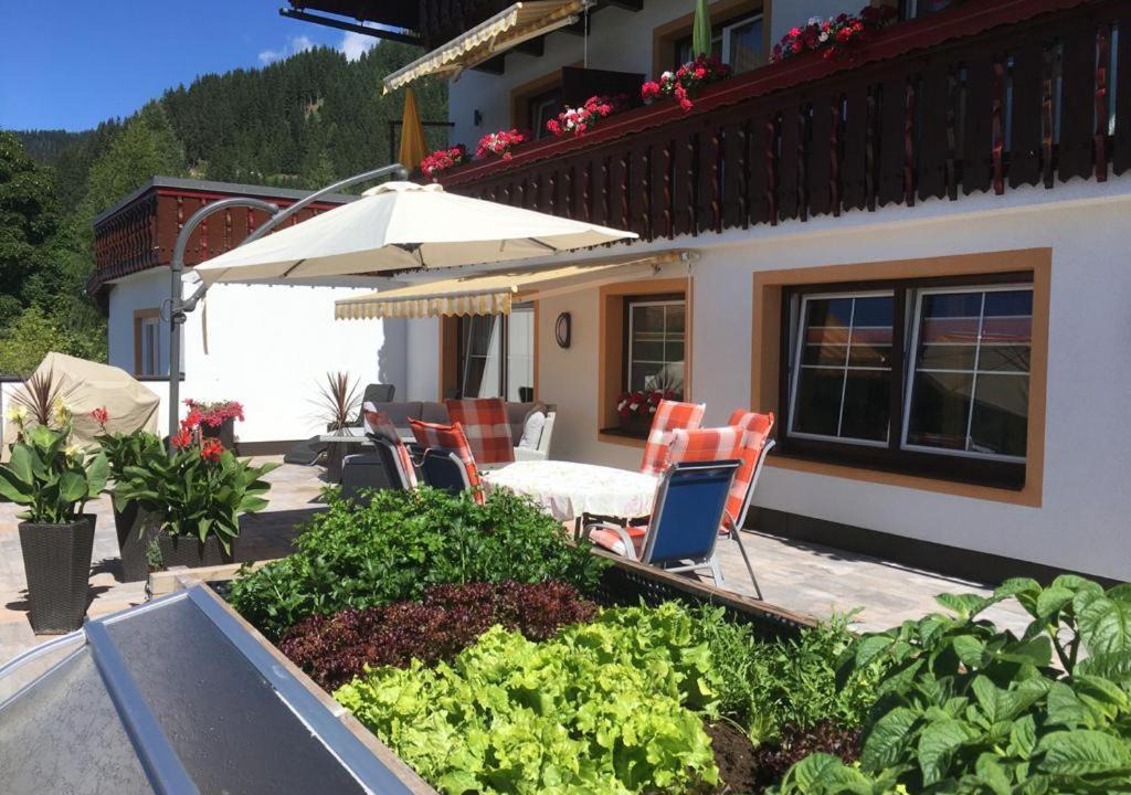Photo of Others in Schildlehen