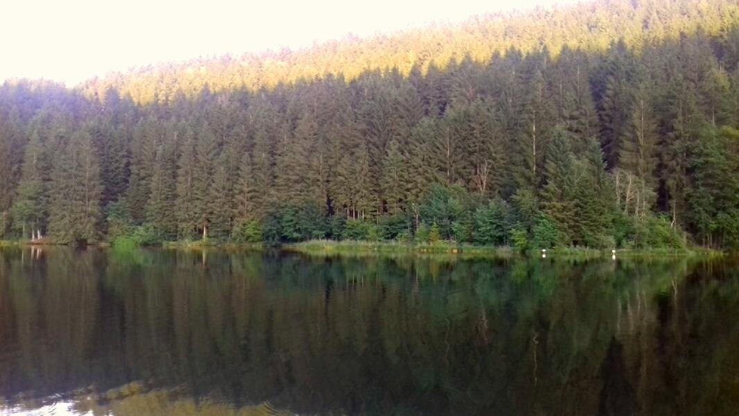 Photo of Others in Liebenfels