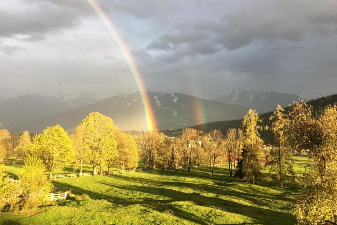 Photo of Others in Ramsau am Dachstein