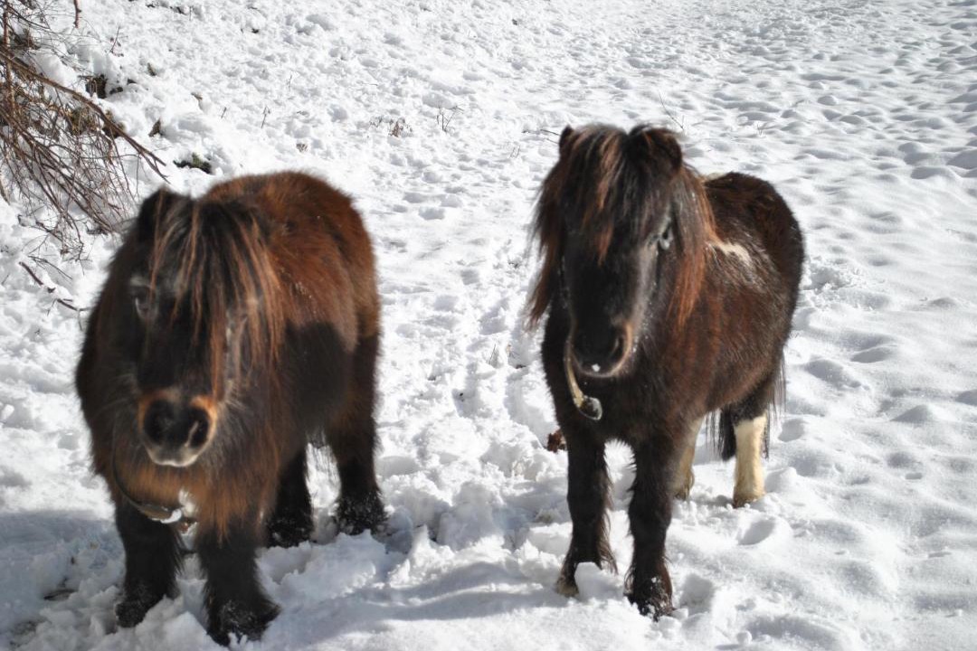 Photo of Others in Liebenfels