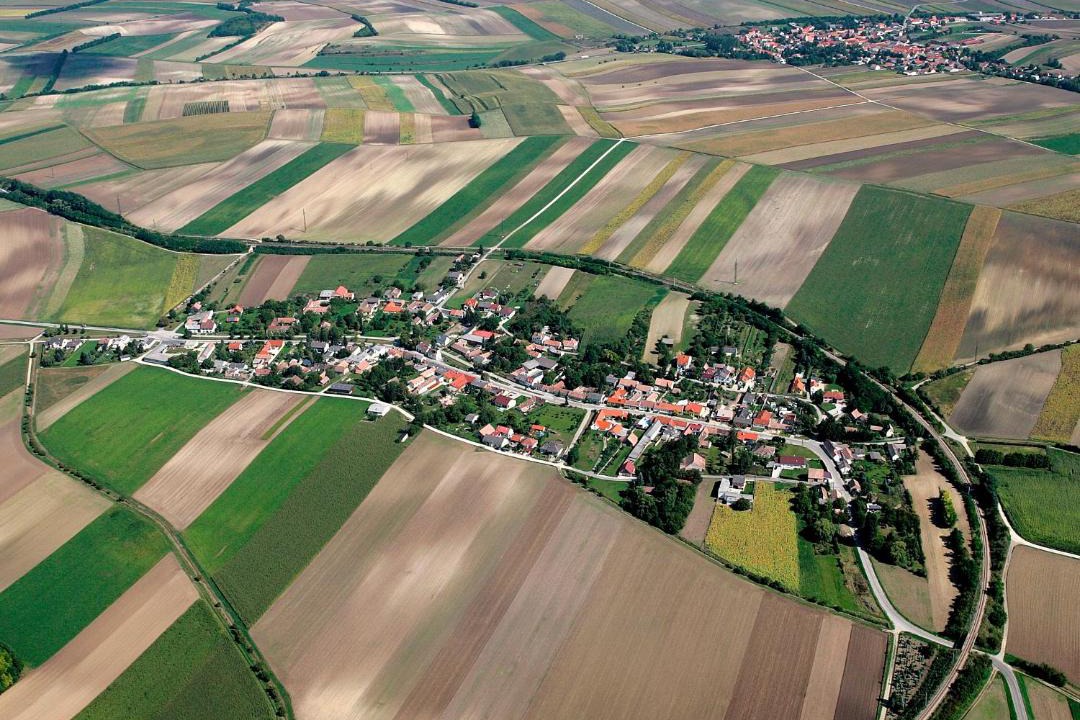 Photo of Others in Staatz