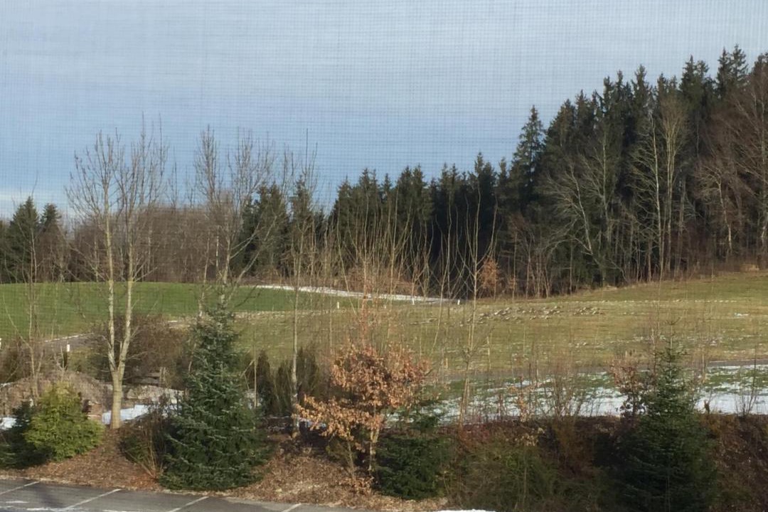 Photo of Others in Kirchberg bei Mattighofen