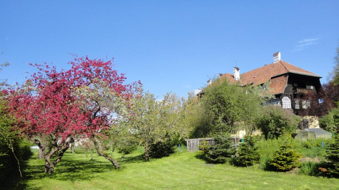 Photo of Others in Knittelfeld