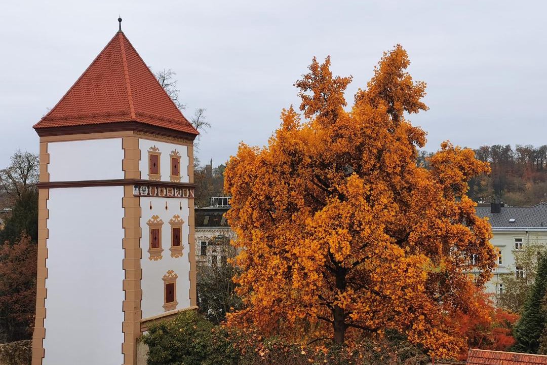Photo of Others in Wels