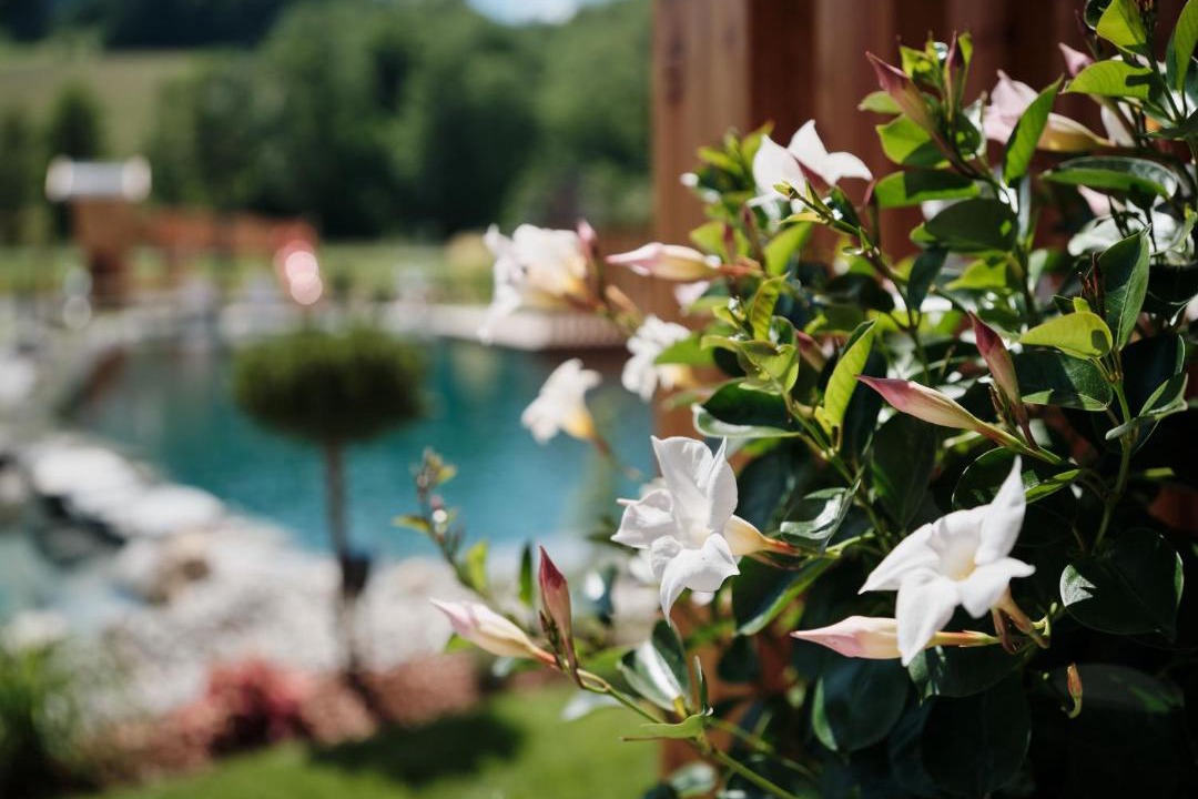 Photo of Others in Maria Alm am Steinernen Meer